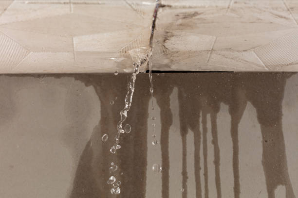 Professional Structural Drying technician working in Davenport, ND